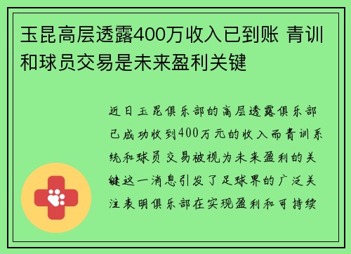 玉昆高层透露400万收入已到账 青训和球员交易是未来盈利关键