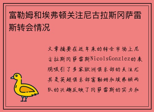 富勒姆和埃弗顿关注尼古拉斯冈萨雷斯转会情况