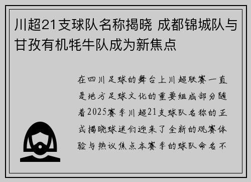 川超21支球队名称揭晓 成都锦城队与甘孜有机牦牛队成为新焦点